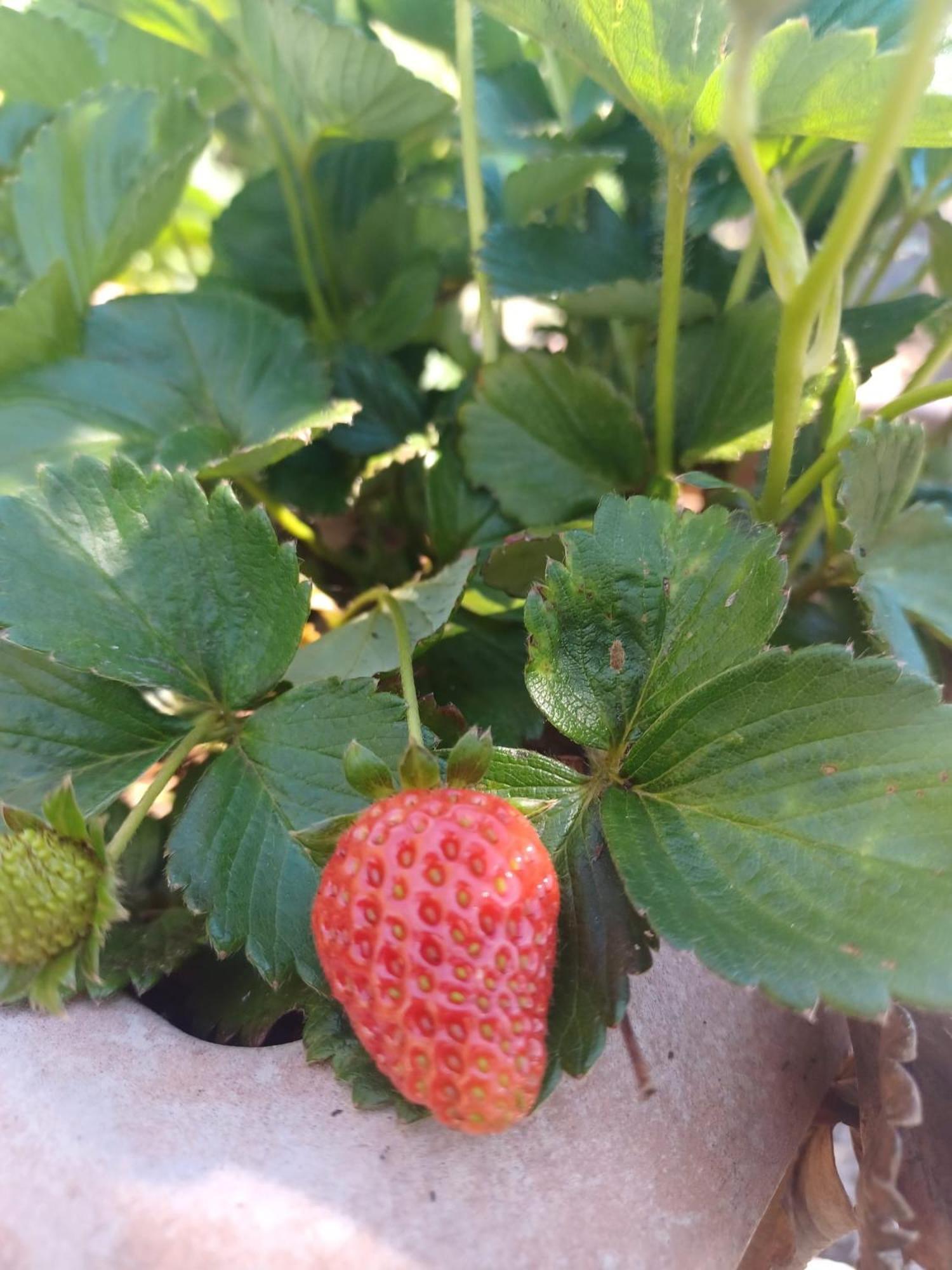 Finca De Luna 라오로타바 외부 사진