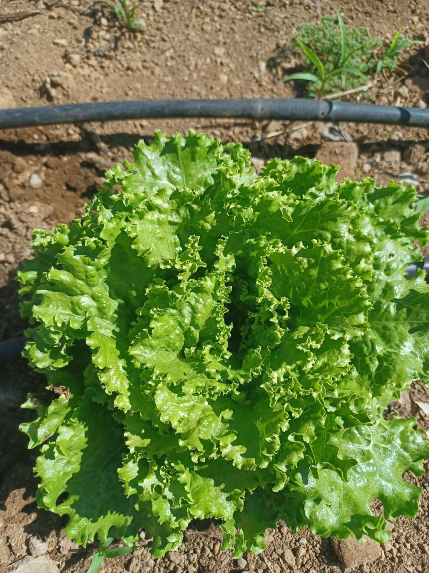 Finca De Luna 라오로타바 외부 사진