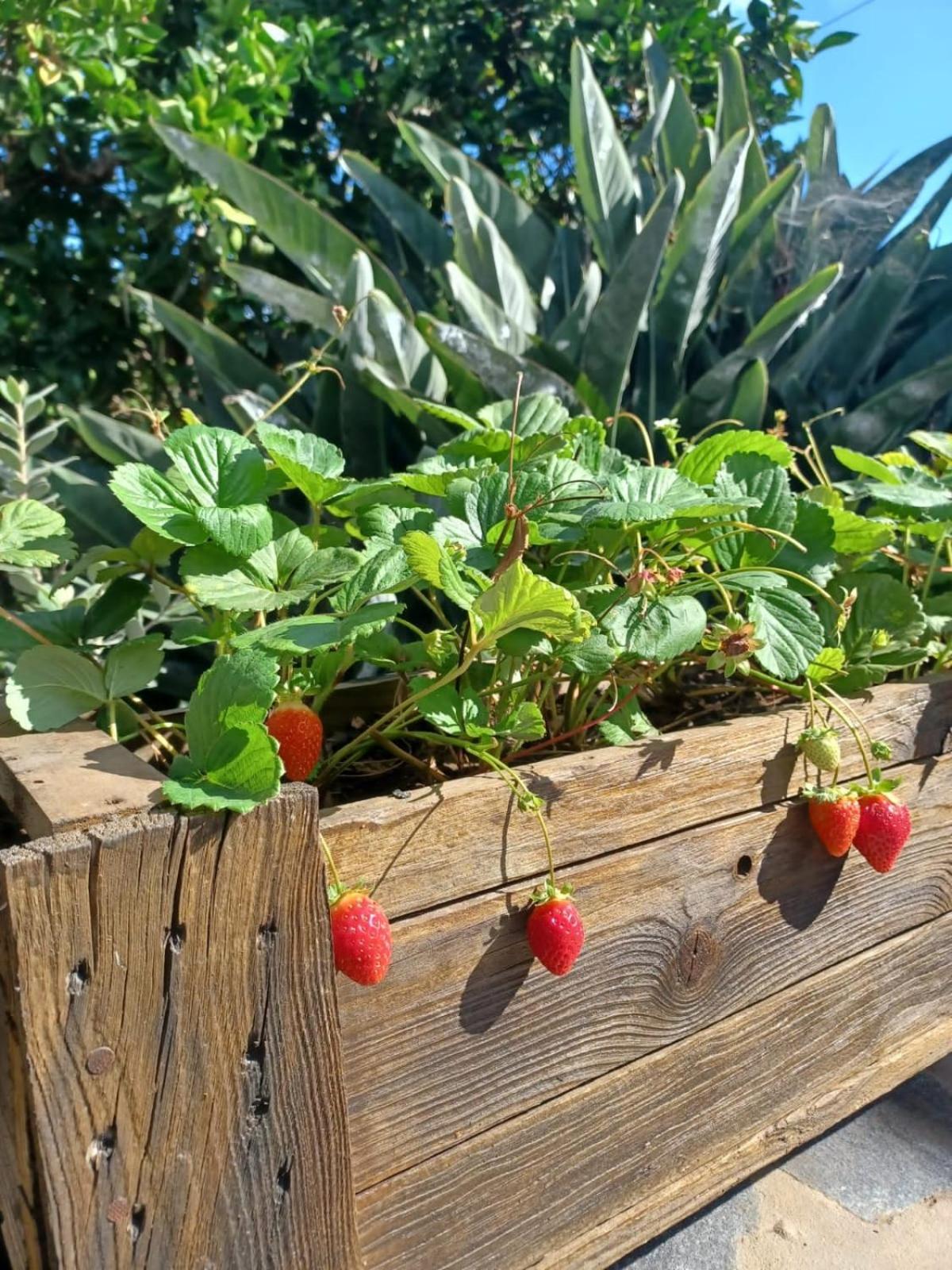 Finca De Luna 라오로타바 외부 사진