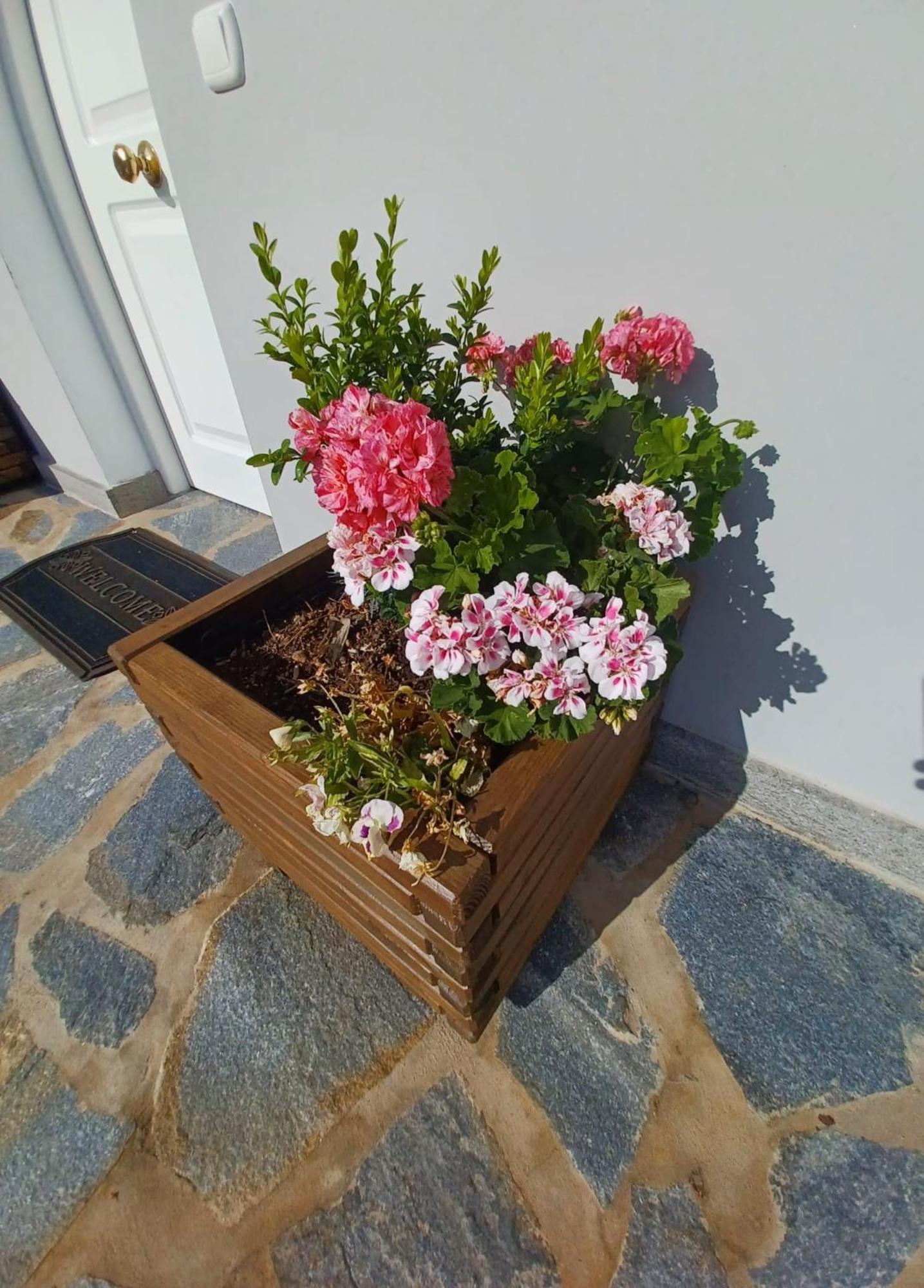 Finca De Luna 라오로타바 외부 사진