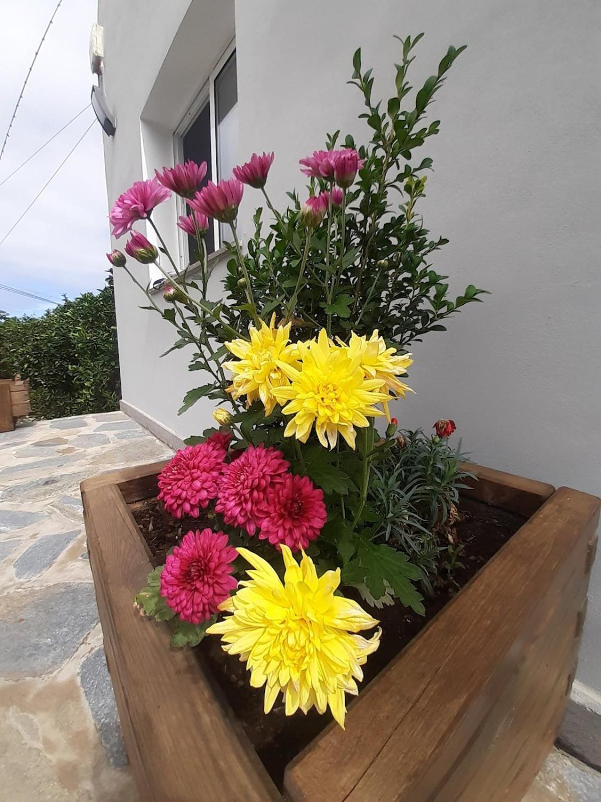 Finca De Luna 라오로타바 외부 사진