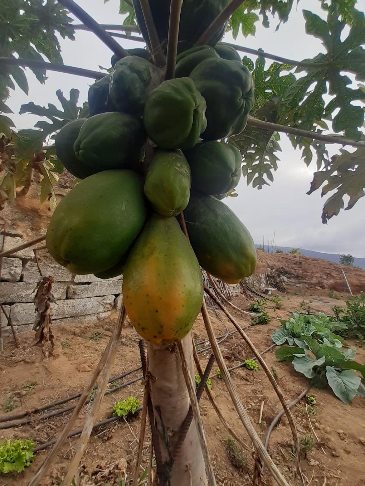 Finca De Luna 라오로타바 외부 사진