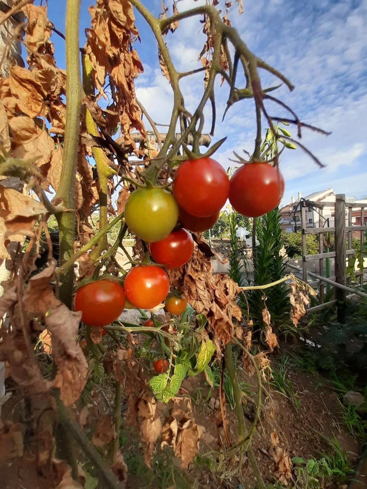 Finca De Luna 라오로타바 외부 사진