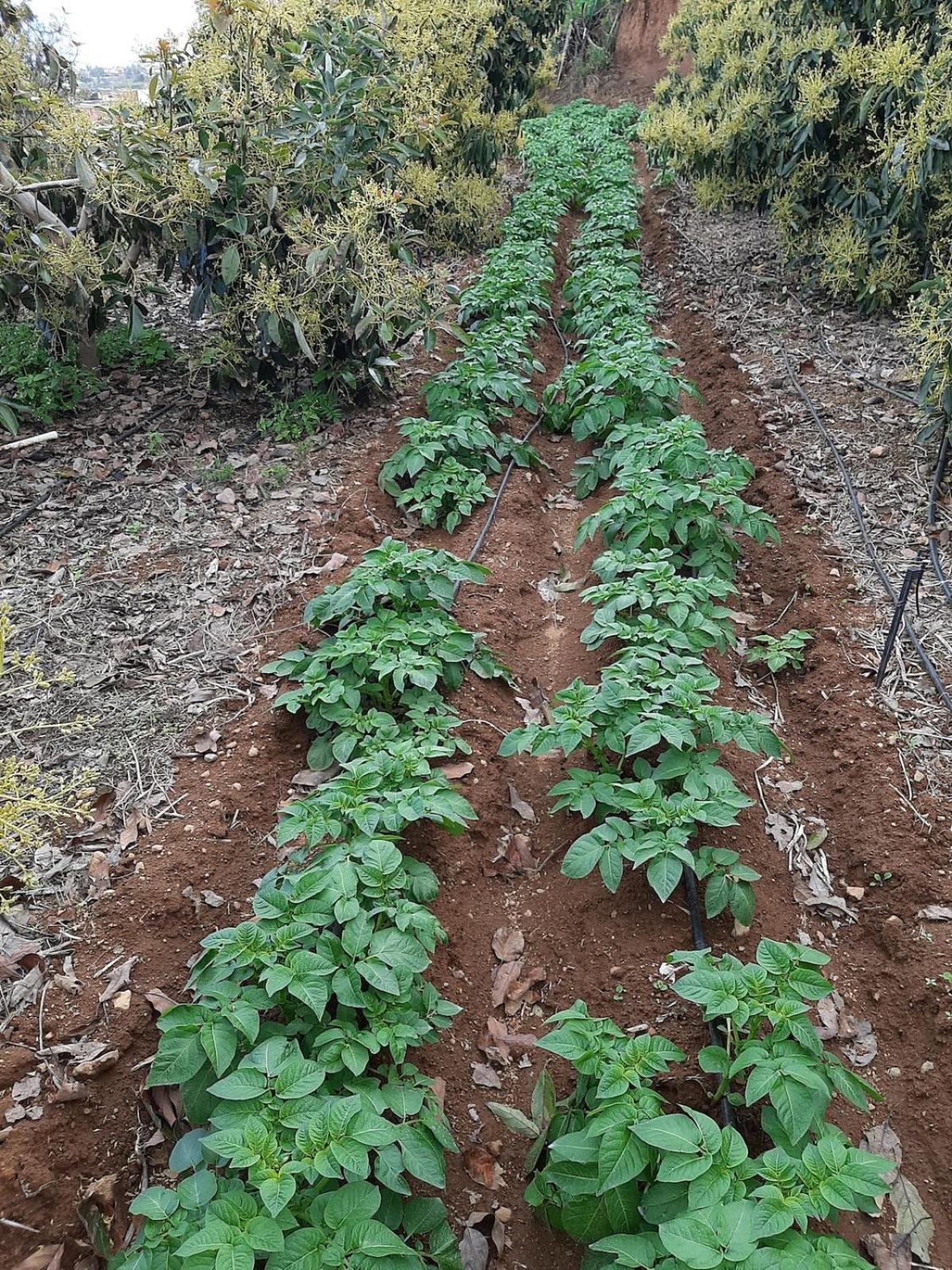 Finca De Luna 라오로타바 외부 사진