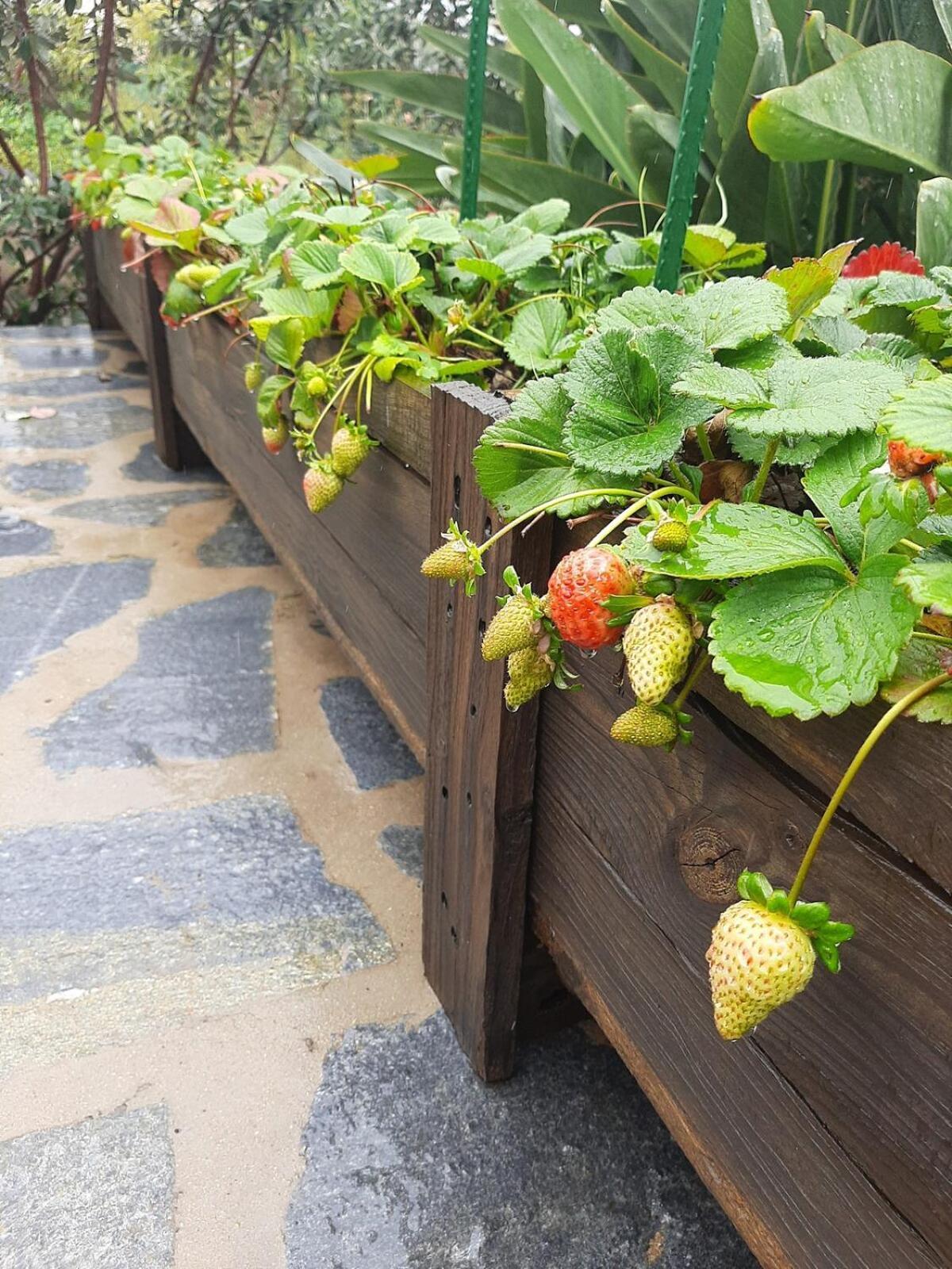 Finca De Luna 라오로타바 외부 사진